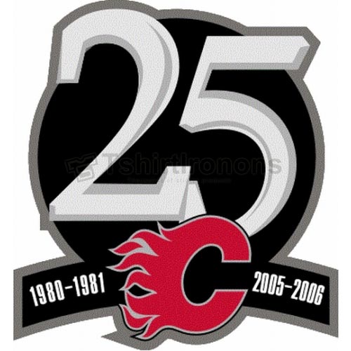 Calgary Flames T-shirts Iron On Transfers N102